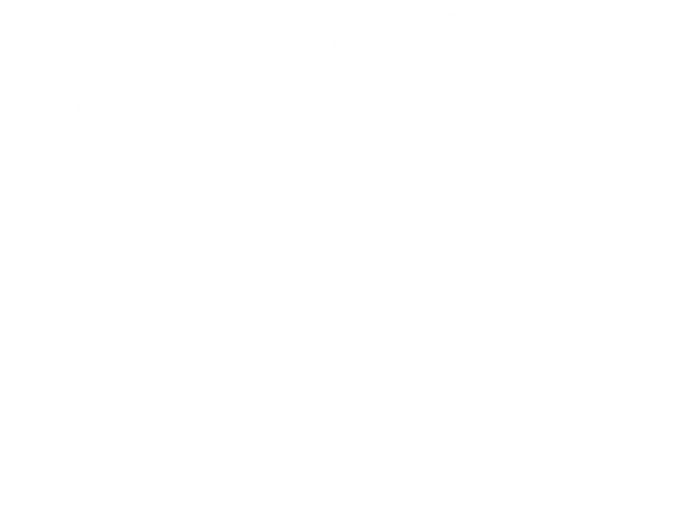 Logo ma p'tite étoile blanc